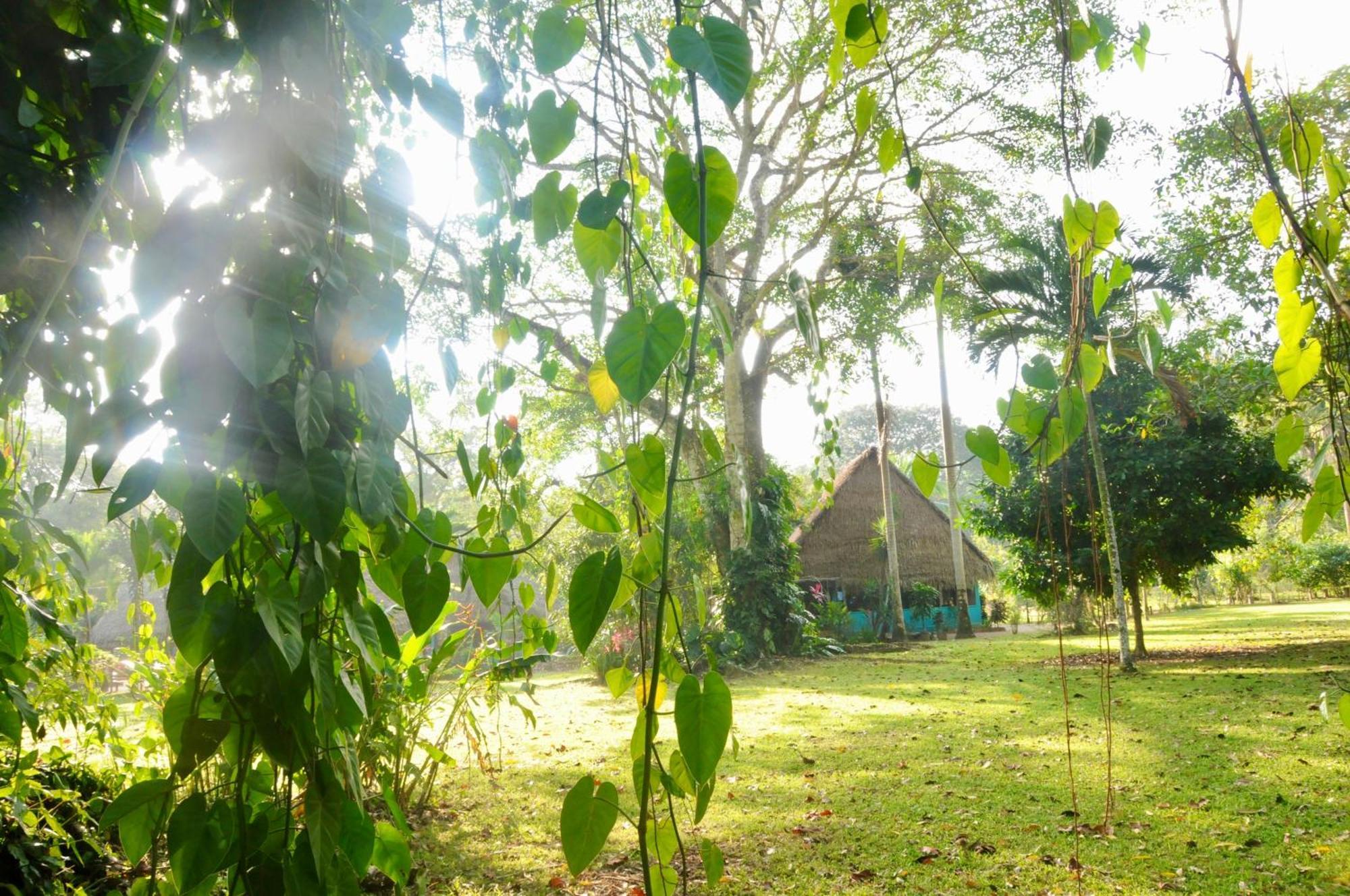 Bocawina Rainforest Resort 홉킨스 외부 사진