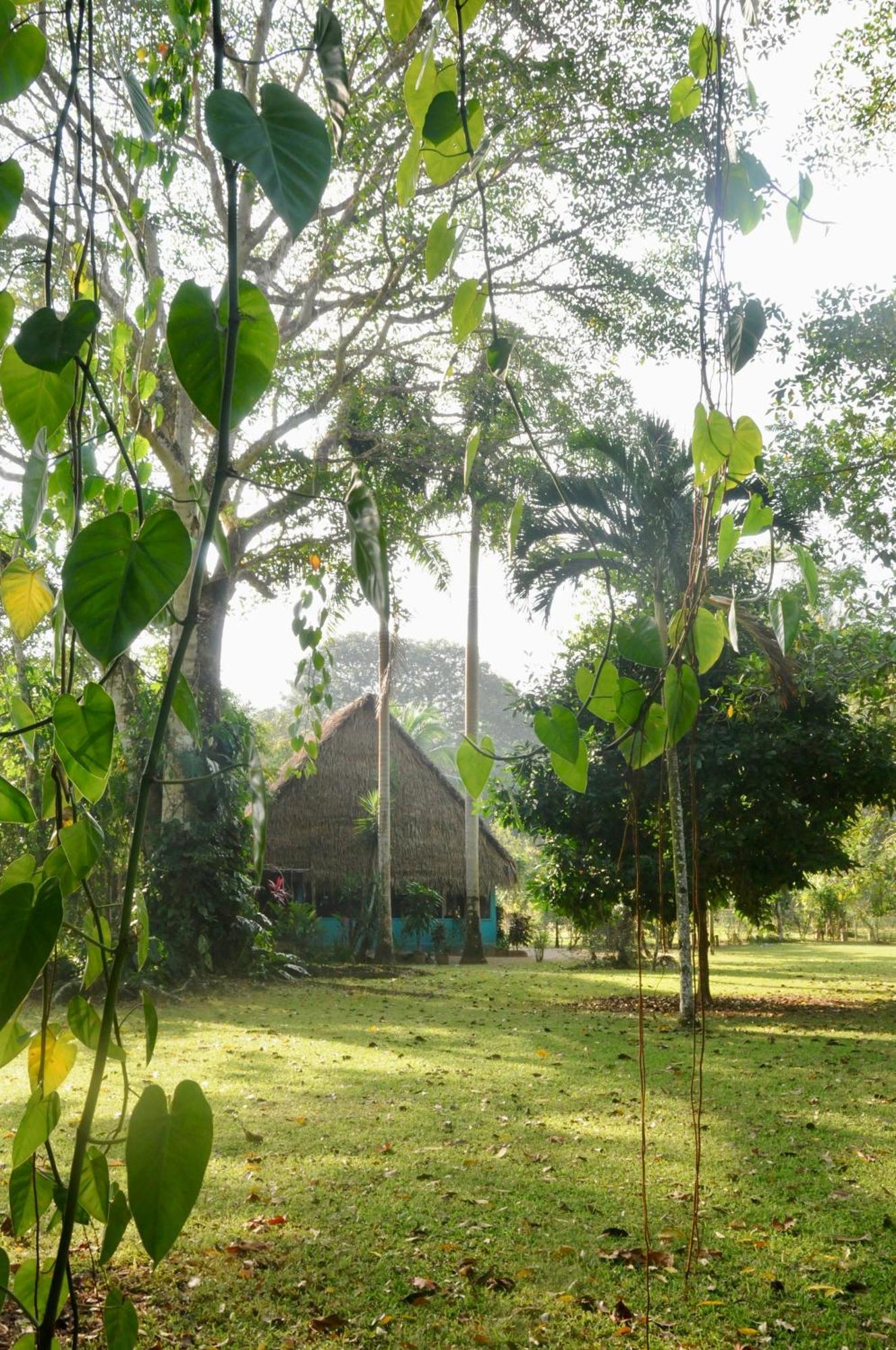 Bocawina Rainforest Resort 홉킨스 외부 사진