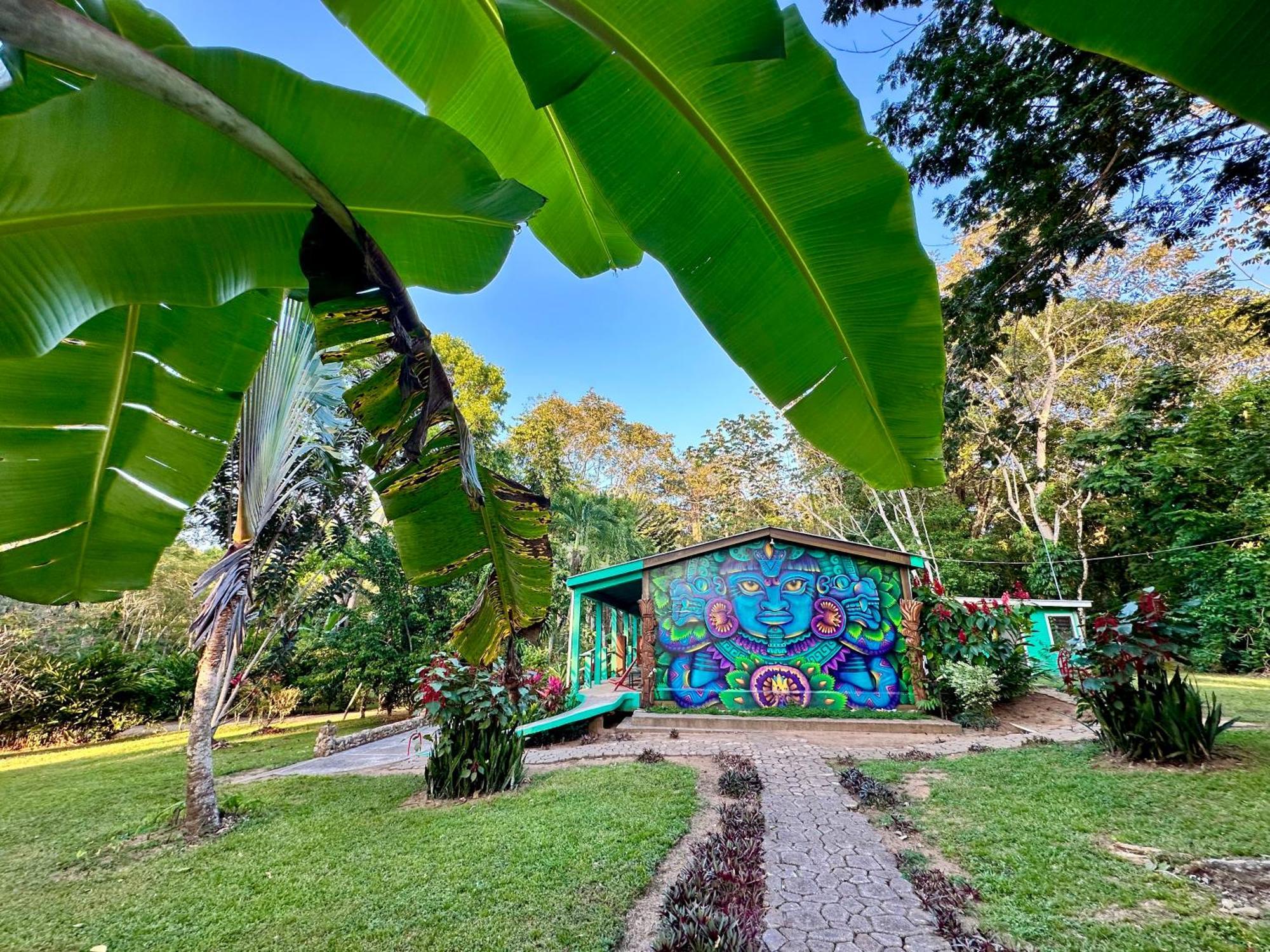 Bocawina Rainforest Resort 홉킨스 외부 사진