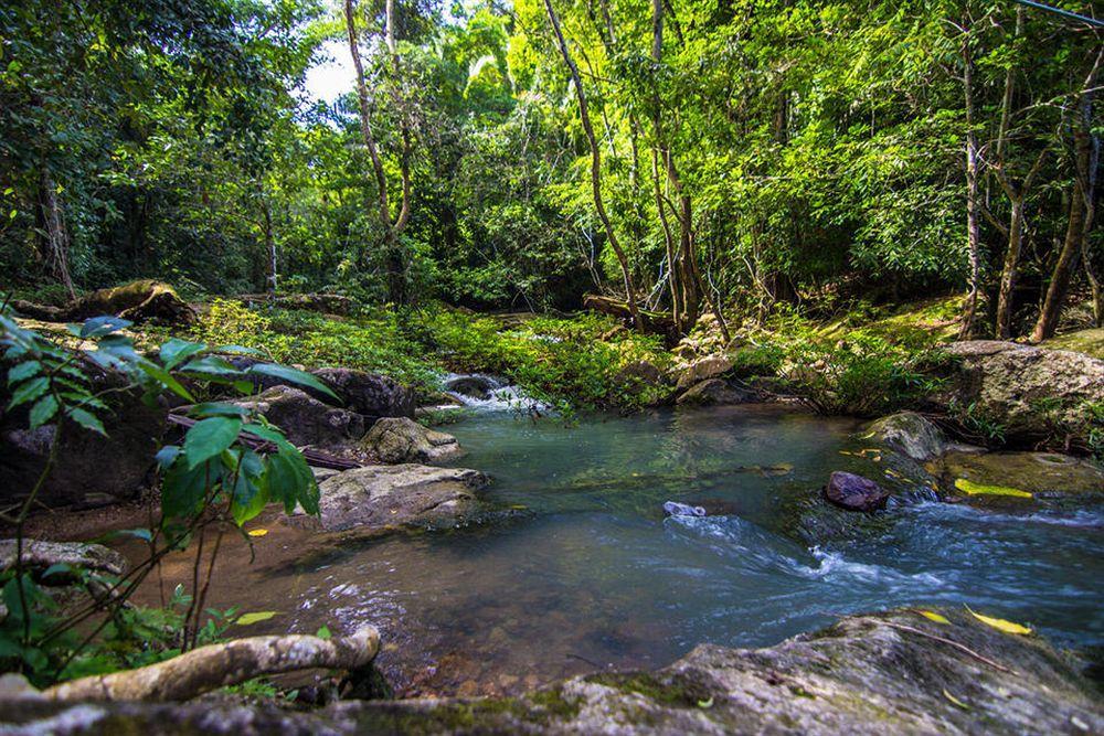 Bocawina Rainforest Resort 홉킨스 외부 사진