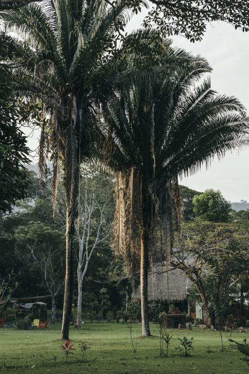 Bocawina Rainforest Resort 홉킨스 외부 사진