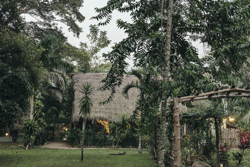 Bocawina Rainforest Resort 홉킨스 외부 사진