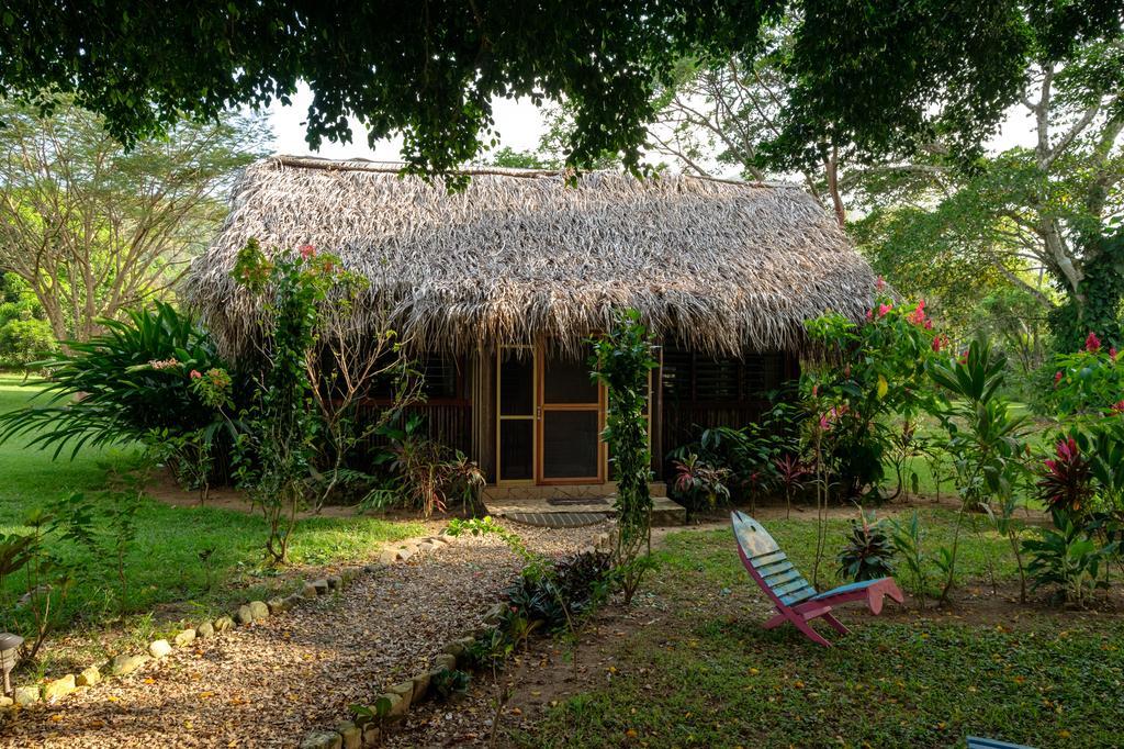 Bocawina Rainforest Resort 홉킨스 외부 사진