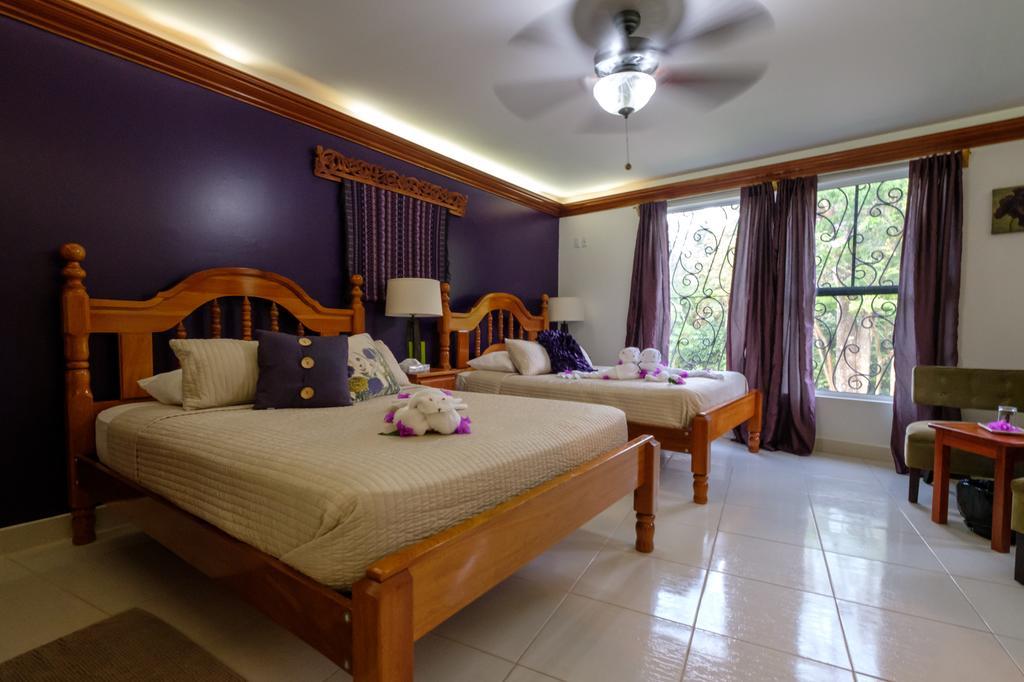 Bocawina Rainforest Resort 홉킨스 외부 사진