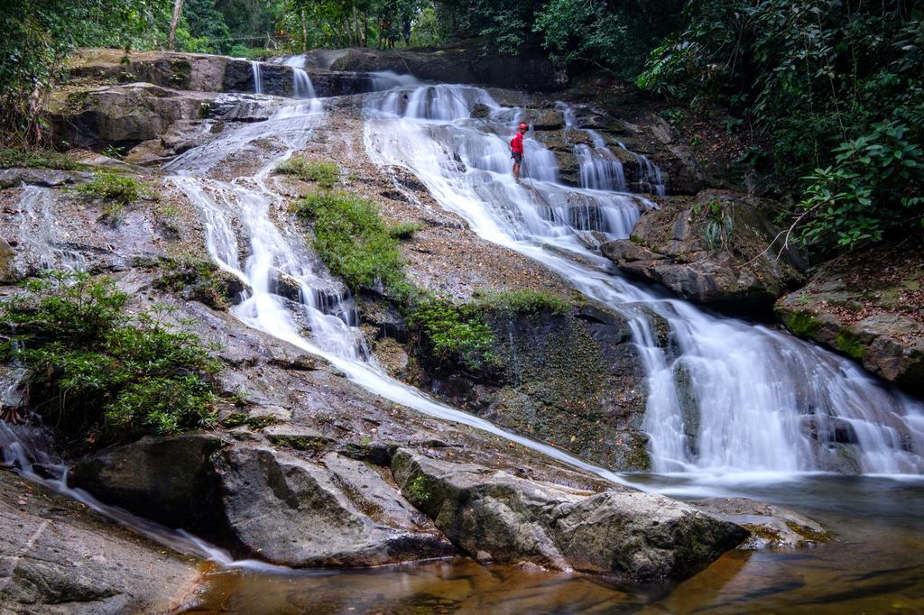 Bocawina Rainforest Resort 홉킨스 외부 사진