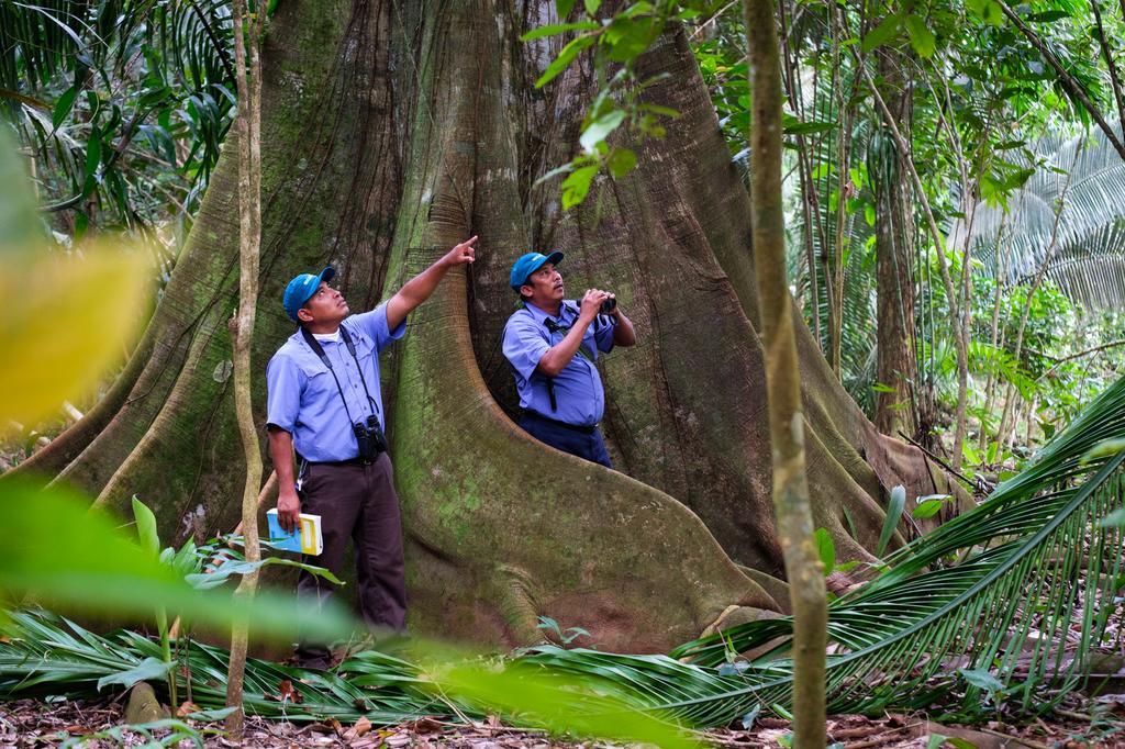 Bocawina Rainforest Resort 홉킨스 외부 사진